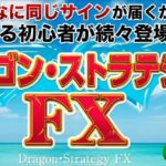 ドラゴン・ストラテジーFX クロスリテイリング株式会社 松野有希は怪しい？調べてみました。
